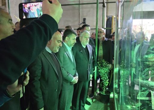 ادای احترام وزیر میراث فرهنگی به حرم مطهر سبزقبا(ع) در دزفول