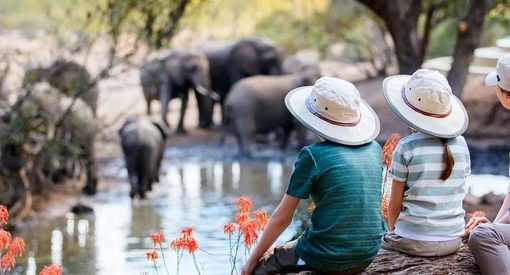 رشد ۵ درصدی گردشگری جهانی در ۹ ماهه ۲۰۲۵/ بازگشت فراتر از دوران پیش از کرونا