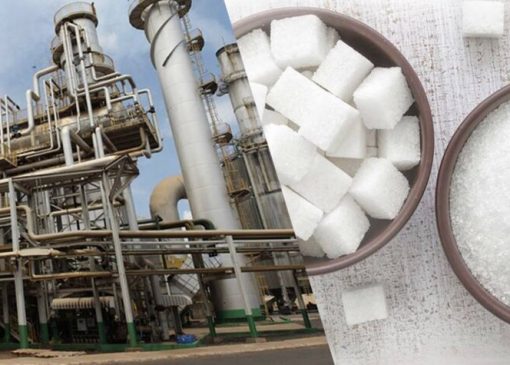پاسخ سازمان غذا و دارو به فرایند تولید قند و شکر