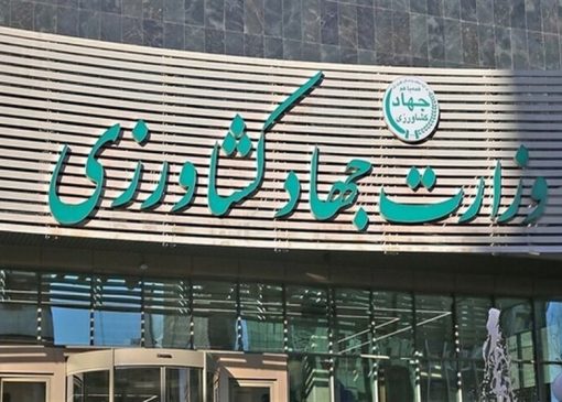 ابلاغ مصوبه دولت برای تسریع ترخیص نهاده‌های دامی