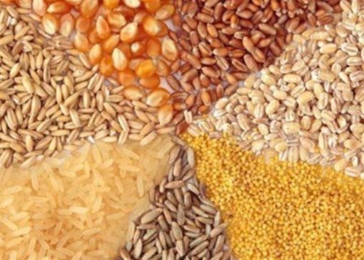 تحویل مدت‌دار نهاده دامی به مرغداران تصویب شد