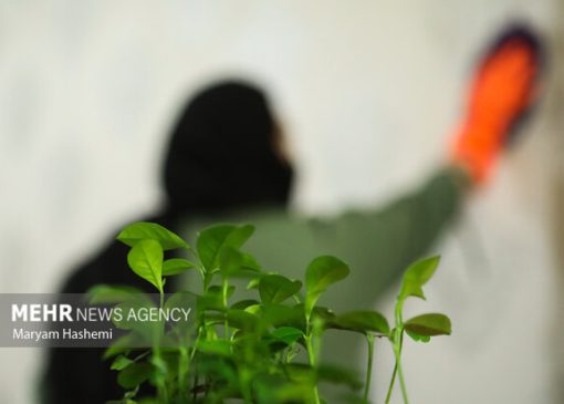 ترکیب مرگبار مواد شوینده در خانه‌تکانی