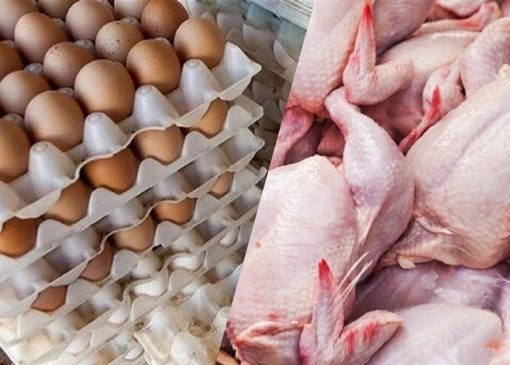 جزئیات کاهش قیمت مرغ، تخم مرغ و گوشت قرمز در بازار