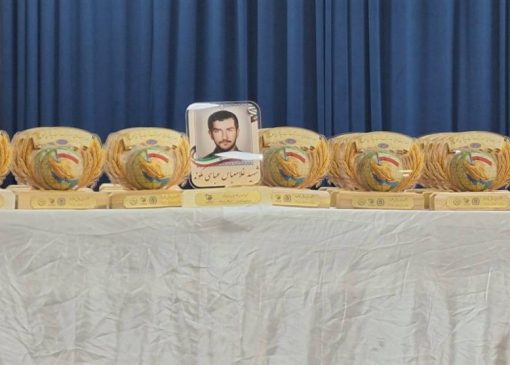 جهادگران برتر امنیت غذایی معرفی شدند