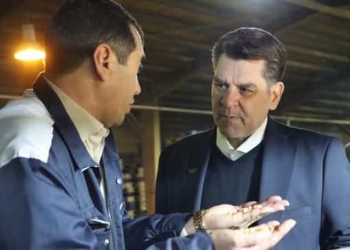 حرکت کشت و صنعت پارس به‌سوی هاب منطقه‌ای تولید بذر علوفه‌ای