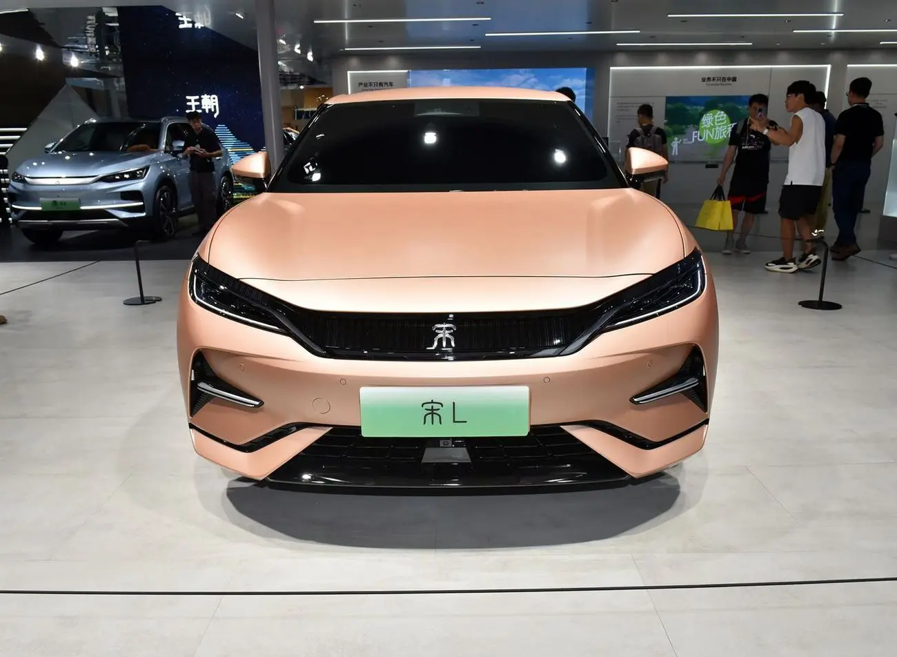 سقوط آزاد بی‌وای‌دی در ژانویه