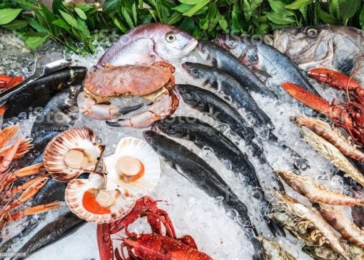 صادرات محصولات شیلاتی ایران به 61 کشور جهان