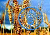 فائو: استفاده از فناوری هسته‌ای برای غلبه بر ناامنی غذایی ضروری است