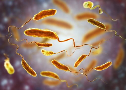 مرگ مشکوک مرد انگلیسی/ پای وبا در میان است؟