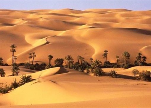 «نجات آب» ــ 69| حمایت از زنجیره ارزش پایدار محصولات در مناطق خشک