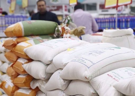 واردات برنج افزایش یافت