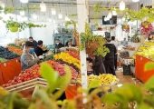 ورود میوه به کالابرگ از 15 اسفند