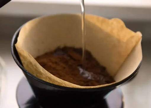 چطور با فیلتر قهوه سلامت ریشه گیاهان خود را تضمین کنید؟