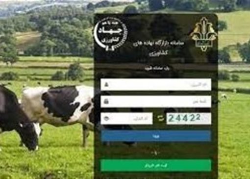 2 میلیون تن نهاده در بازارگاه بارگذاری شد/رفع منع صادرات مازاد تولید