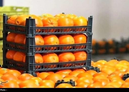 آغاز توزیع میوه ایام پایانی سال از امروز در تهران