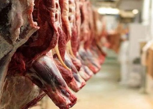ترخیص گوشت در بنادر و استان‌های مرزی بدون مشکل