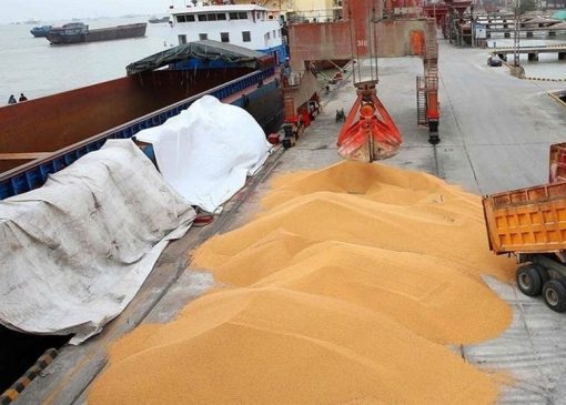 جهش تاریخی قیمت جهانی گندم و روغن در پی بحران خاورمیانه