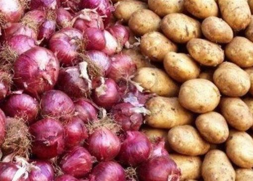 ذخیره سازی مطلوب سیب زمینی، پیاز و گوجه