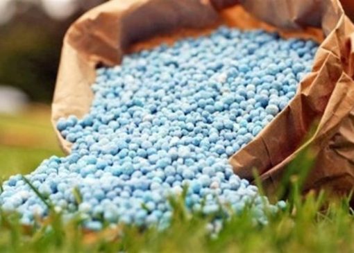 رشد 89 درصدی قیمت اوره / جهان در آستانه تورم مواد غذایی