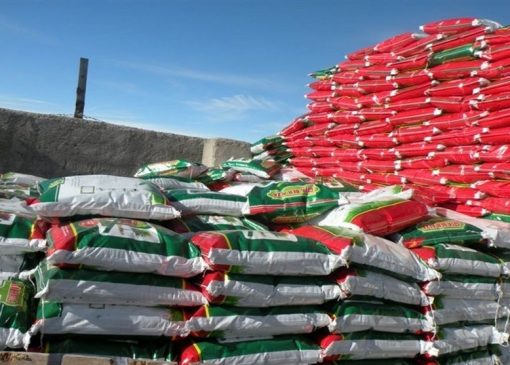 زنجیره جهانی کودهای کشاورزی به دلیل جنگ مختل شد