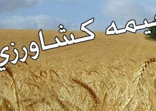 پرداخت 5200 میلیارد ریال غرامت بیمه کشاورزی در جنگ تحمیلی