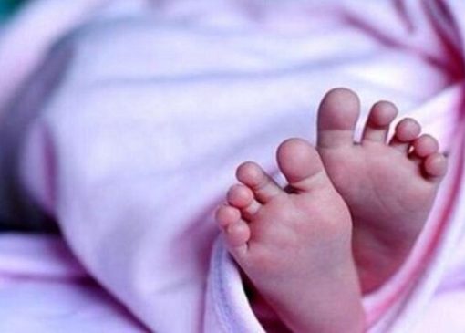 اجرای «کارت امید مادر» از اردیبهشت آغاز می شود