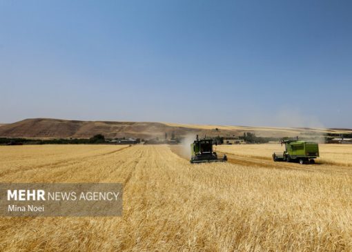 اجرای کامل قانون الزام با جدیت دنبال می‌شود