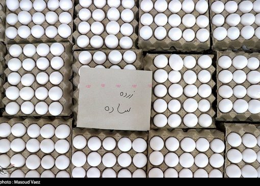 دستور وزیر کشاورزی برای اصلاح قیمت تخم مرغ