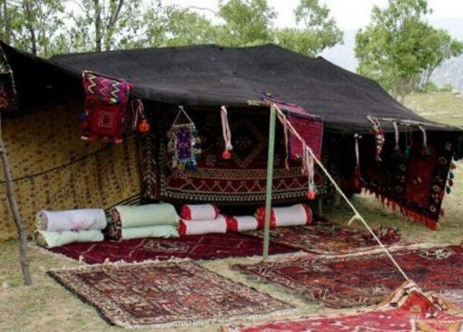 روایت یک جهش اقتصادی در کویر؛ سیاه چادرها برند شدند