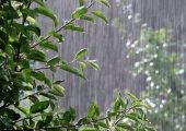 آسمان شمال و غرب تغییر کرد / هشدار بارش شدید در ۱۳ استان