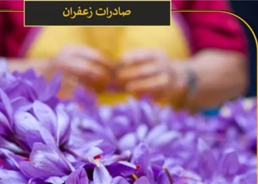 افشای آمار عجیب صادرات زعفران ایرانی توسط افغانستان