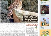 انتشار «زمینی‌ها» با رویکرد روستای گردشگری پامنار و جغد ماهی‌خوار