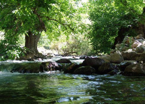 بهشتی در سایه گردوها؛ اینجا درخت‌ها تاریخ دارند