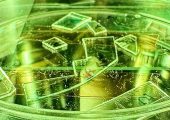 خداحافظی با ضدعفونی‌کننده‌ها؛ دانشمندان سطحی ساخته‌اند که ویروس‌ها را متلاشی می‌کند