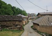 شانه‌تراش؛ الگویی از پیوند هویت و توسعه در مسیر جهانی‌شدن
