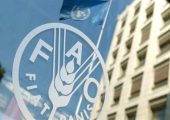 نماینده ایران در فائو: تنگه هرمز پیش از تجاوز علیه ایران باز بود