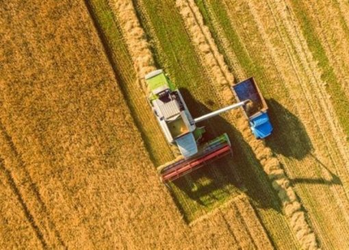 تاوان 220 هزار میلیارد تومانی منابع یارانه‌ای برای خرید تضمینی گندم