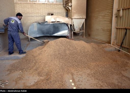 خط اعتباری 1500 میلیارد تومانی بانک مرکزی برای خرید محصولات کشاورزی