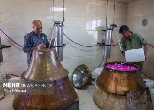 نمایشگاه گل و گلاب در بوستان باغ ایرانی برگزار می‌شود