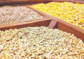 واردات 23 میلیون تن کالای اساسی در سال/پیامد خرید نهاده دامی از آمریکا