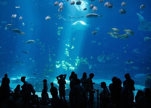 پژوهش جهانی بر پایه ۱۰۰ هزار نظر گردشگران؛ محبوب‌ترین جاذبه‌های جهان چگونه به «ناامیدی سفر» تبدیل شدند؟/ از آلتون تاورز بریتانیا تا حمام‌های تاریخی بوداپست